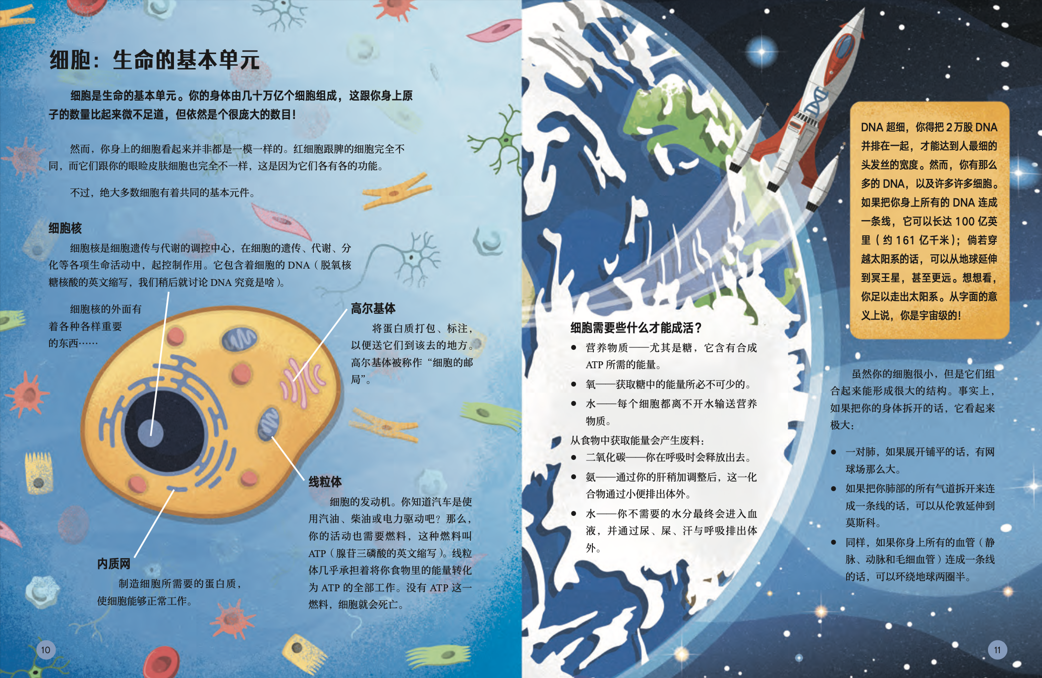 截屏2024-05-28 10.38.54.png
