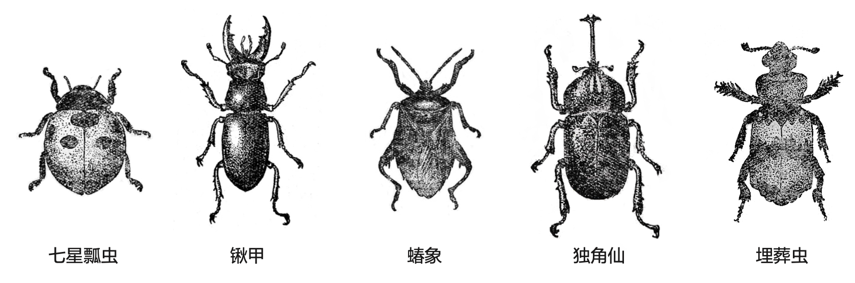 d6c606bb07d5b39d8bdde31ce22f155a.png