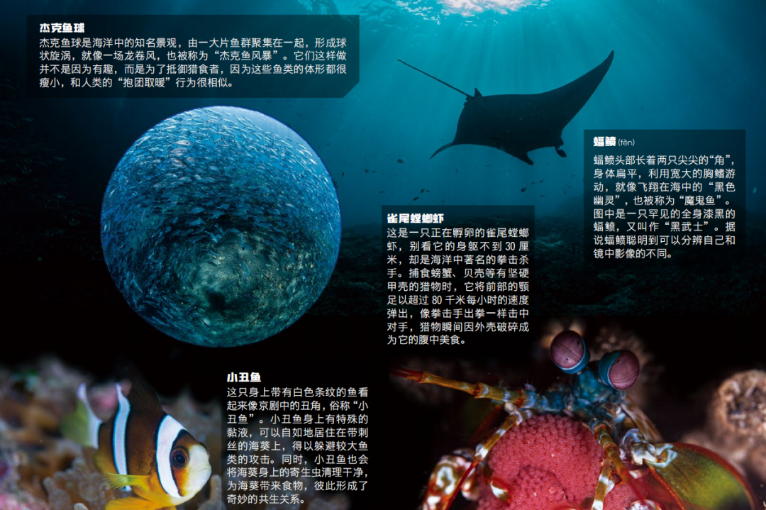48139a609ff1aac5bbf92bef23660d4e.png